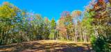 Muddy Creek Mountain Rd - Photo 14