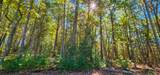  Muddy Creek Mountain Rd - Photo 16