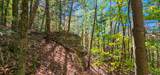  Muddy Creek Mountain Rd - Photo 17