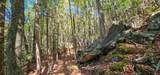  Muddy Creek Mountain Rd - Photo 18