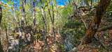  Muddy Creek Mountain Rd - Photo 20