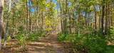  Muddy Creek Mountain Rd - Photo 21
