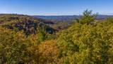  Muddy Creek Mountain Rd - Photo 22