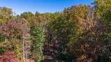  Muddy Creek Mountain Rd - Photo 23