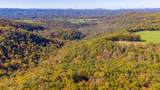  Muddy Creek Mountain Rd - Photo 29