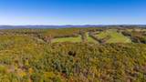  Muddy Creek Mountain Rd - Photo 31