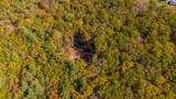  Muddy Creek Mountain Rd - Photo 35