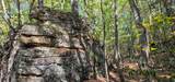  Muddy Creek Mountain Rd - Photo 4
