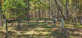  Muddy Creek Mountain Rd - Photo 5
