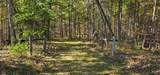  Muddy Creek Mountain Rd - Photo 6