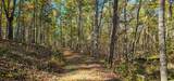  Muddy Creek Mountain Rd - Photo 7