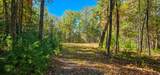  Muddy Creek Mountain Rd - Photo 9