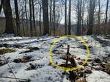 Lot 71 North Woods Circle - Photo 1