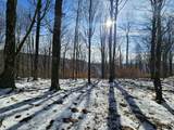 Lot 71 North Woods Circle - Photo 3