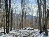 Lot 71 North Woods Circle - Photo 6