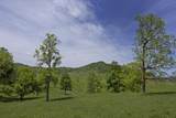 4061 Fairview Rd - Photo 90