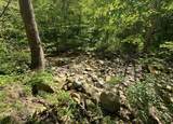  Leonard-Cordova Rd - Photo 11