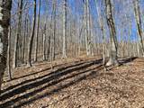 Lot 13 Lower Cherry Grove Rd - Photo 11