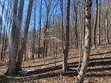 Lot 13 Lower Cherry Grove Rd - Photo 12