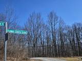 Lot 13 Lower Cherry Grove Rd - Photo 4