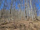 Lot 13 Lower Cherry Grove Rd - Photo 7