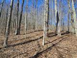 Lot 13 Lower Cherry Grove Rd - Photo 8