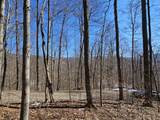 Lot 13 Lower Cherry Grove Rd - Photo 9