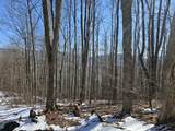 Lot 8 Upper Cherry Grove Rd - Photo 3