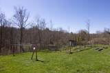 1518 Muddy Creek Mountain Rd - Photo 80
