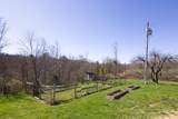 1518 Muddy Creek Mountain Rd - Photo 81