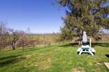 1518 Muddy Creek Mountain Rd - Photo 91