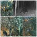 00 Bracken Creek Rd. - Photo 15