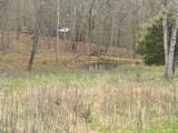 2443 Bruce Allen Rd - Photo 12