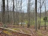 2443 Bruce Allen Rd - Photo 15