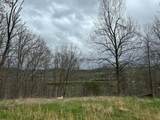 2443 Bruce Allen Rd - Photo 33