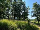 2443 Bruce Allen Rd - Photo 36