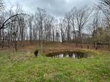 2443 Bruce Allen Rd - Photo 8