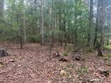 Lot 3 Asbury Trce - Photo 1