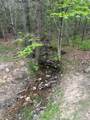 Lot 3 Asbury Trce - Photo 5