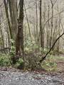 189 Cranberry Rd - Photo 12