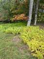 2161 Knob Drive - Photo 9