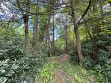 2861 Wilderness Hwy - Photo 39