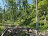  Irish Mt. Road - Photo 32