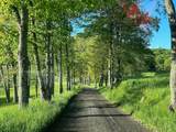  Irish Mt. Road - Photo 38