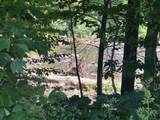 5088 Richwood Rd - Photo 10