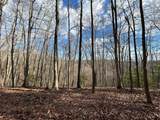 2360 Robins Fork Rd - Photo 13