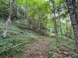 2360 Robins Fork Rd - Photo 4