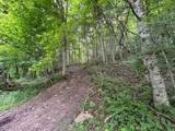 2360 Robins Fork Rd - Photo 5