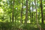  John Wymer Road - Photo 10
