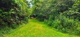 696 Dark Hollow Rd - Photo 55